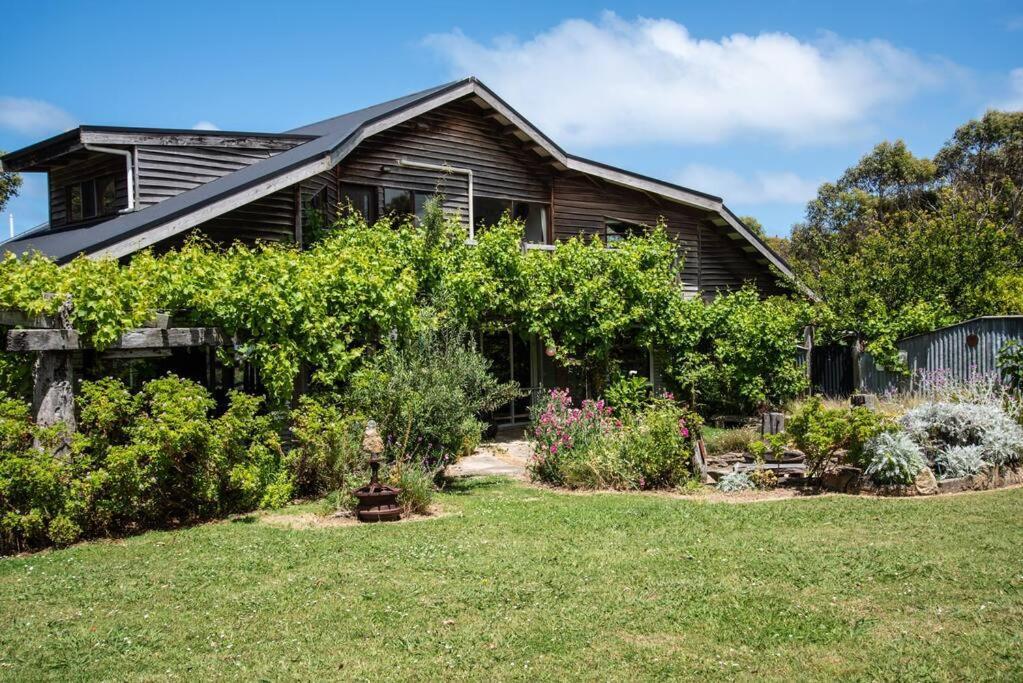 Villa Pixies At Eco Bay à Port Campbell Extérieur photo