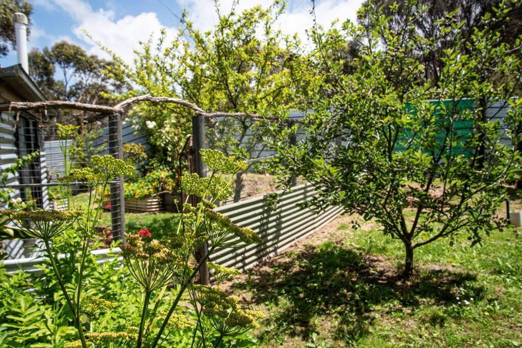 Villa Pixies At Eco Bay à Port Campbell Extérieur photo